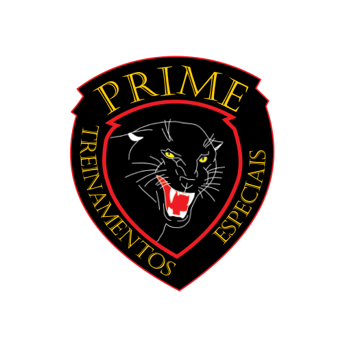 Prancheta 1 copiar 11